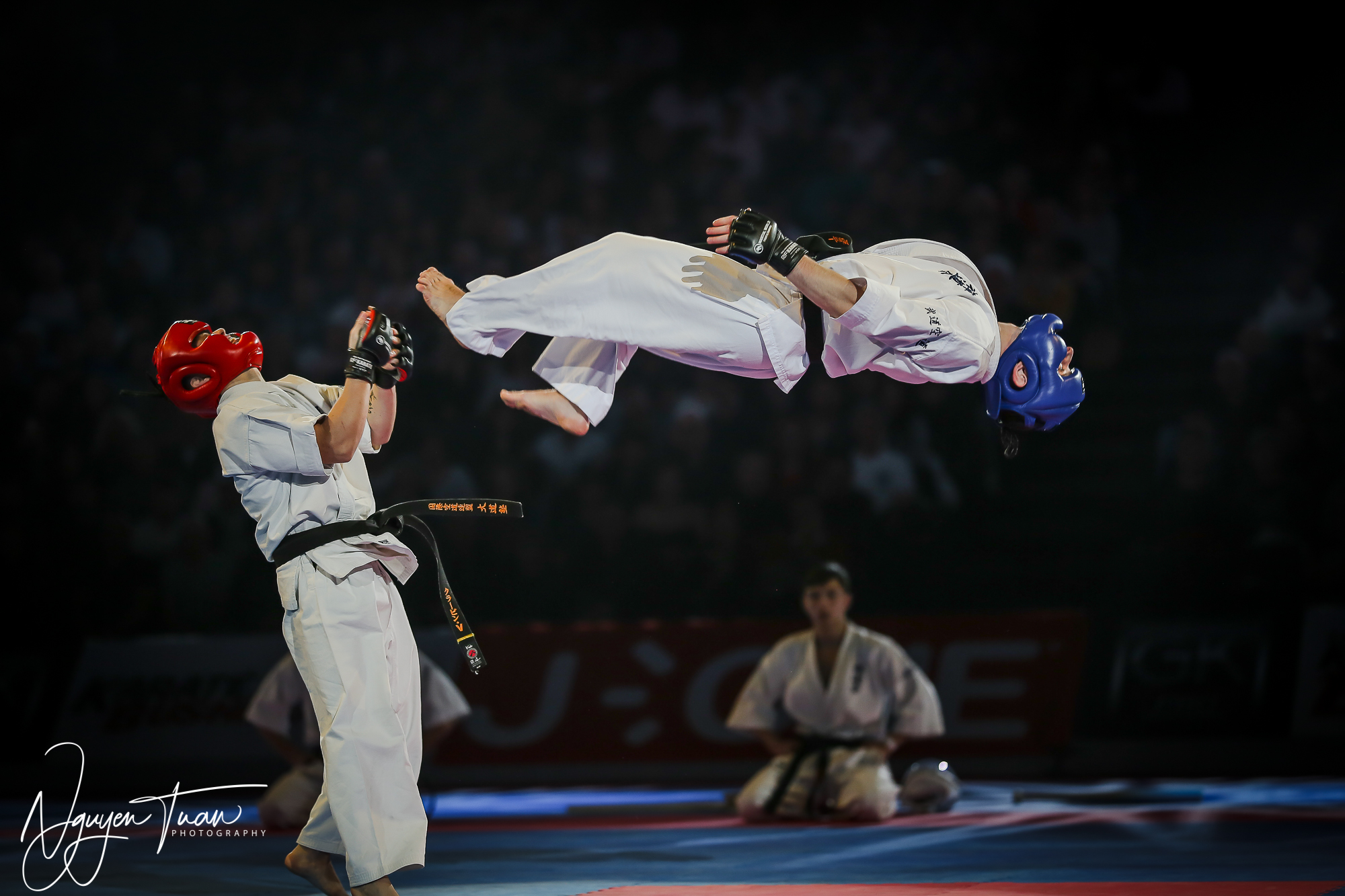 20190324 Festival des Arts Martiaux 3278